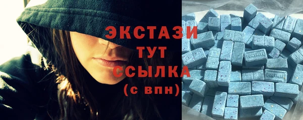 a pvp Каменка